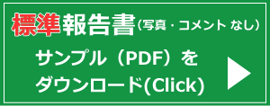 標準報告書のサンプル